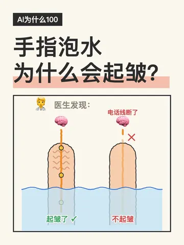 手指泡水为什么会起皱？的视频封面